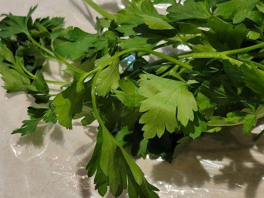 30 day old parsley kept in the veggie drawer