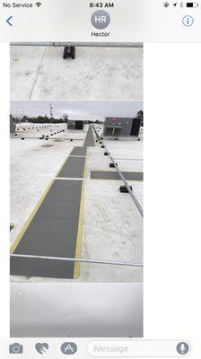 TPO roof system