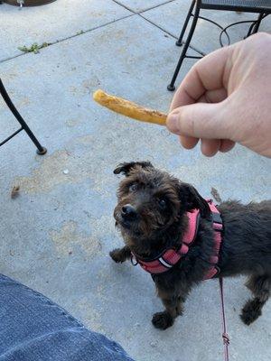 Patio is dog friendly.