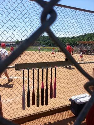 Softball time in TN