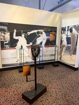 Fencing display