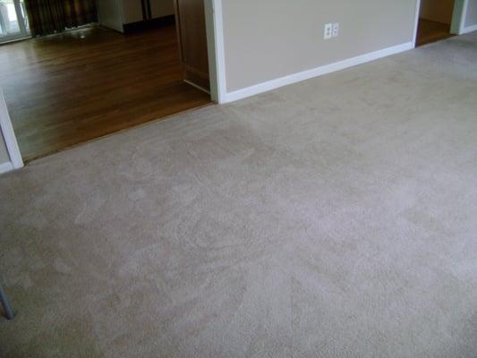 After Everette Carpet cleaned the carpet