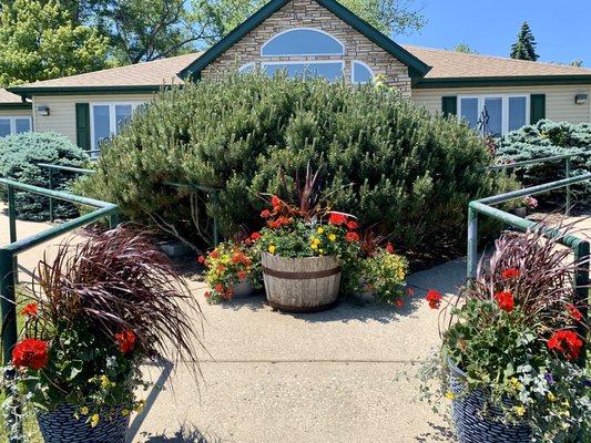 Beautiful flowers to welcome you back!