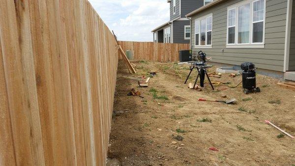 Cedar wood fence