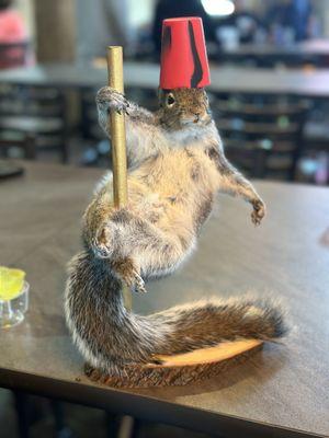 RUN don't walk for 20% off stripper squirrels! Deal ends 3/31/24. Tell them Lindsey sent you.