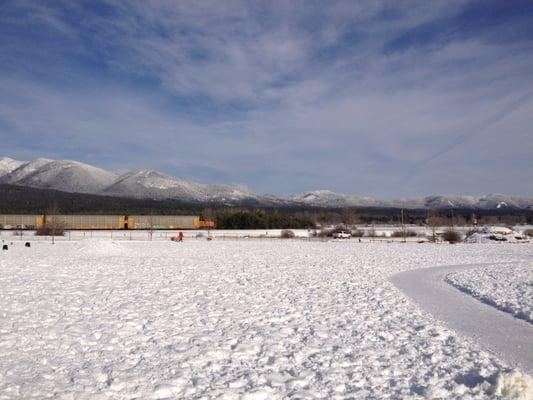 The dog park gets pretty chilly (and windy) in the wintertime... not as crowded as summer months.