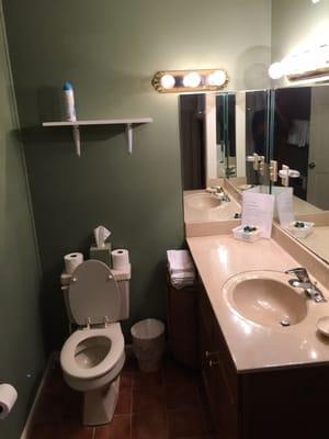 View of the bathroom, toiletries located on the right by the sink.