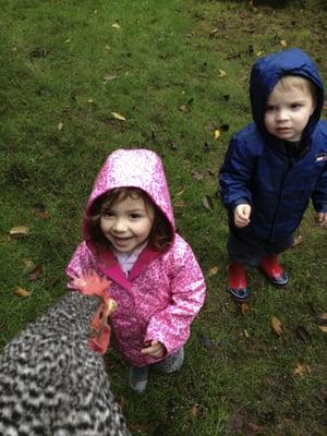 Meeting Dorothy (one of the resident chickens at Mighty Oaks).