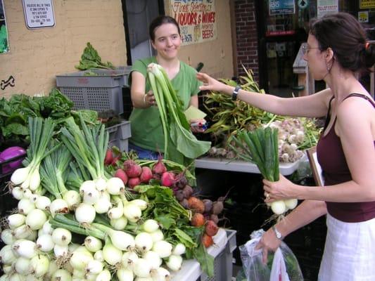 Sweet onion season at the CSA