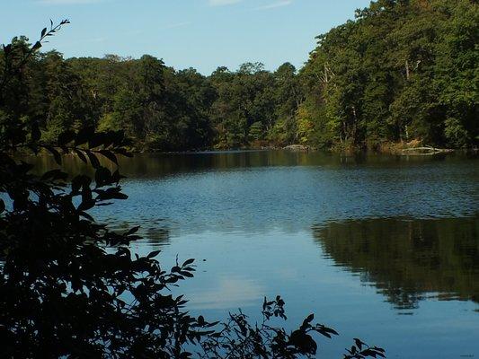 Waterscape within Lake Waterford.  Avionna Desh.