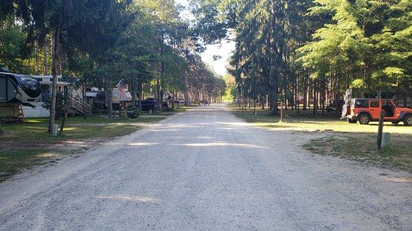 road inside park