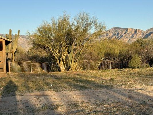 Wrought iron fence