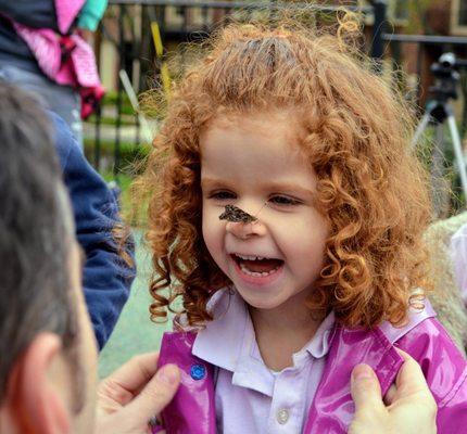 Butterfly release day