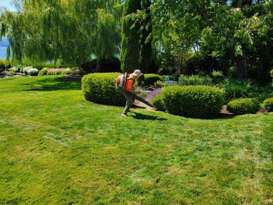 Dependable Yard Care & Landscapes