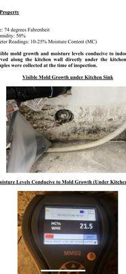 Toxic black mold