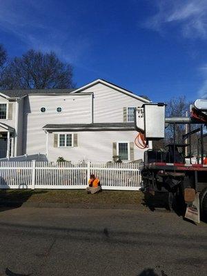 Tree removal services. Red maple tree removed.