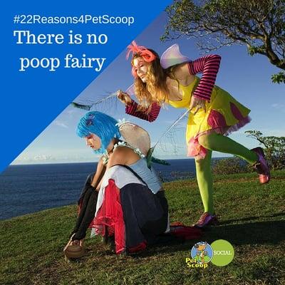 We make poop disapear