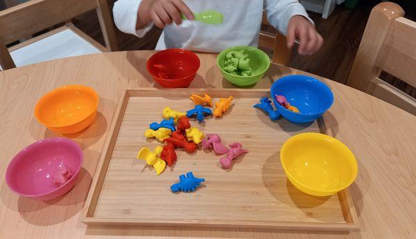 Dinosaur theme: Children sort dinosaurs by color with tweezers