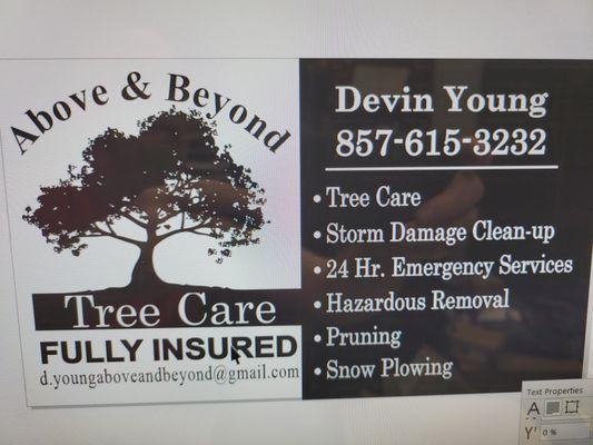 Above & Beyond Tree Care