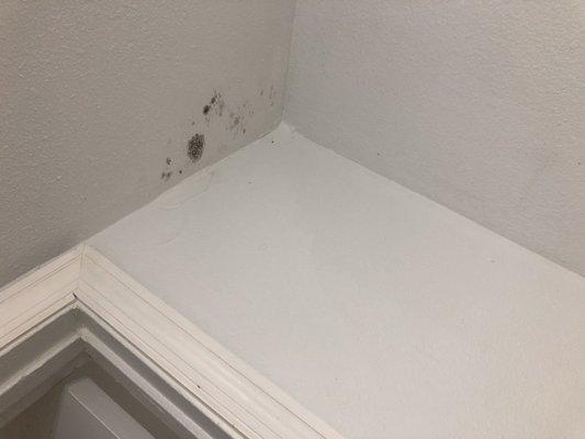 Black mold on bathe ceiling