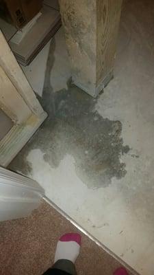 Standing water in basement