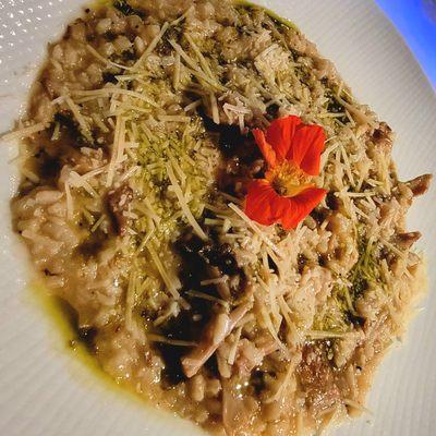 Wild Mushroom Risotto