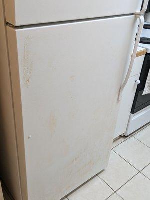 Stained fridge