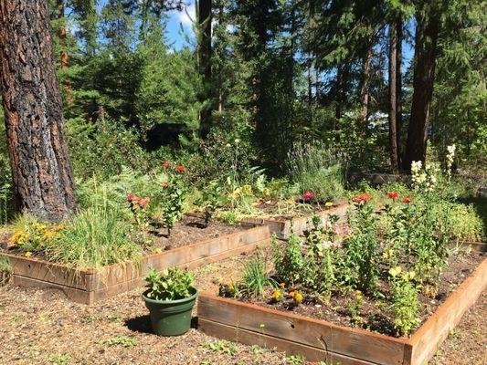 Little cute flower garden next to the cabin(lupine manor)