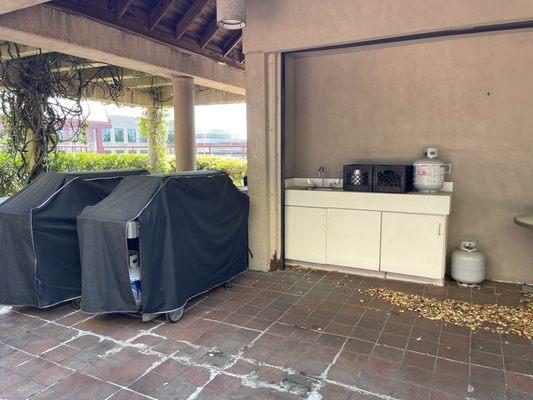 Grills and outdoor kitchen