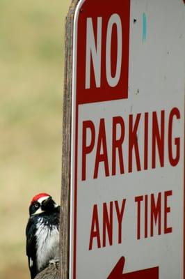 Your sign means nothing to me! Nothing!!!!