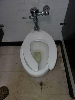 Broken toliet seat