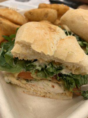 Chicken Panini with a side of wedge fries