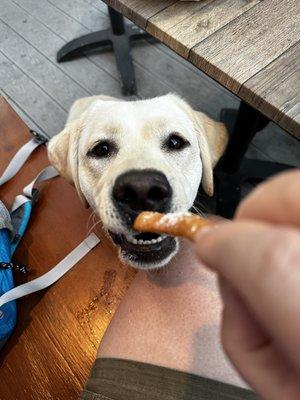 Baliey approved of the beignet fries!