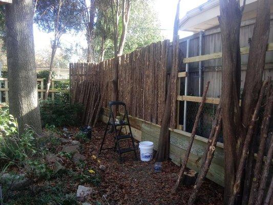 Natural cedar fence