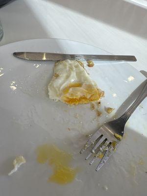 Egg - no salt or pepper on it or on table. Just a plain egg that came out lukewarm with a bunch of cooking oil on the plate