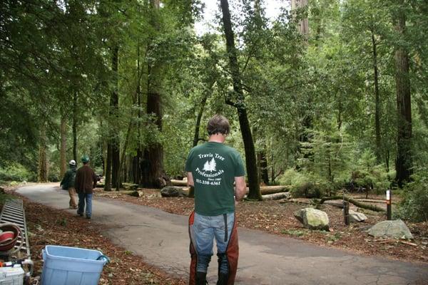 Bob hard ar work keeping the forest safe