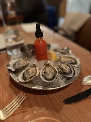 Oysters