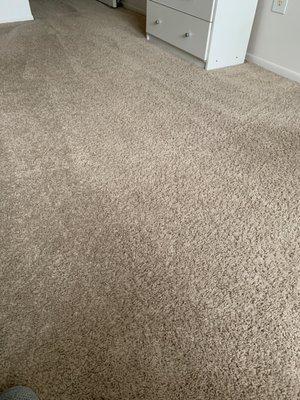 Carpet