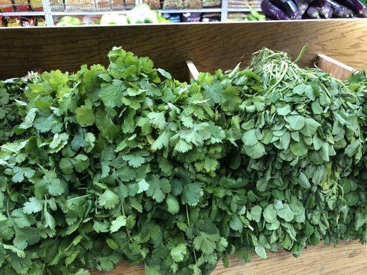 Cilantro and fenugreek