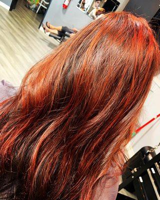 Dark brown with red highlights