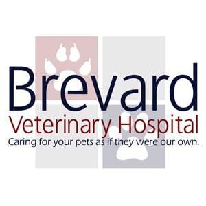 Brevard Veterinary Hospital - Logo