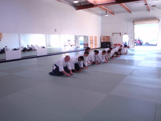 Aikido class