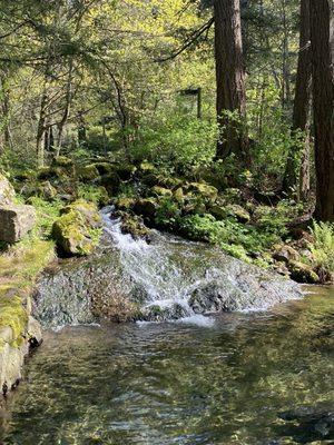 Waterfall in White Sturgeon Pond