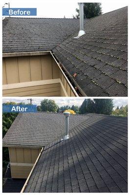 Moss Removal September 2019 in northeast Portland