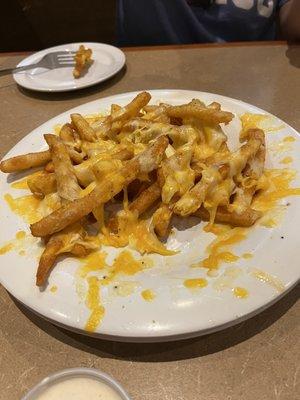 Cheese fries