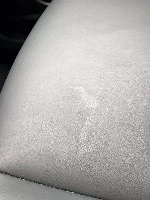 Spill/stain on passenger seat