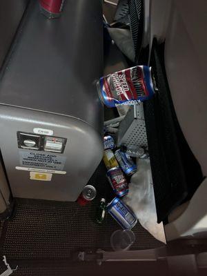 Empty beer and alcohol containers that fell when we landed