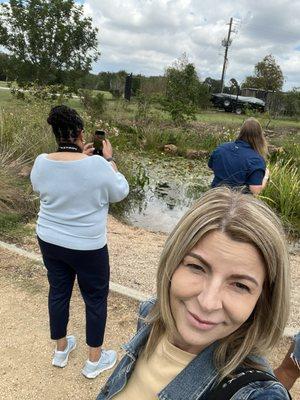 Wetlands area