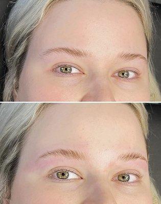 Brow Blowout [Lamination + Tint]