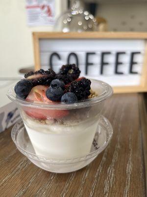 Fresh Greek yogurt probiotic parfait